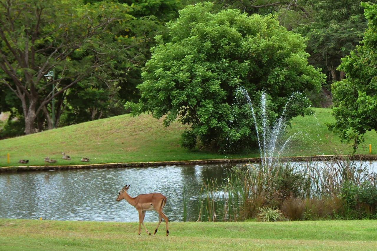 Kruger Park Lodge Unit No. 608A Хейзивью Экстерьер фото